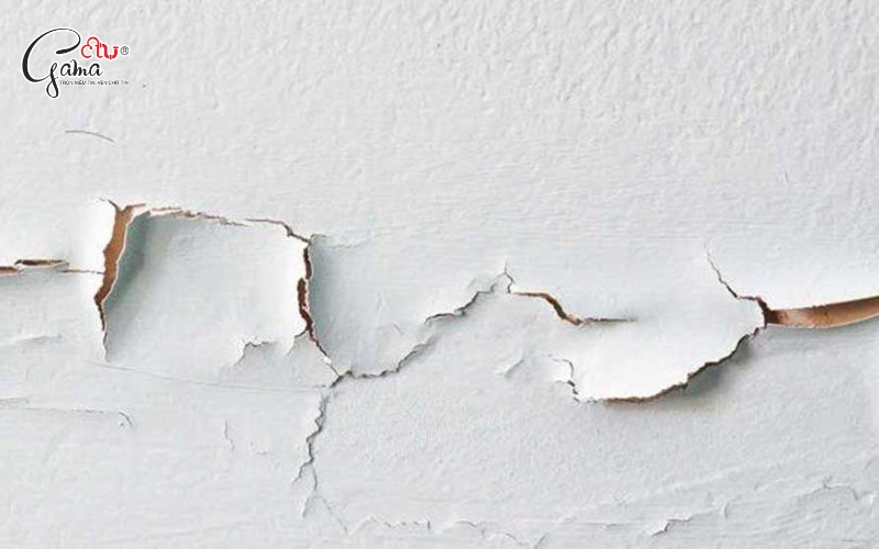 Hậu quả của việc bỏ qua bước sơn chống thấm