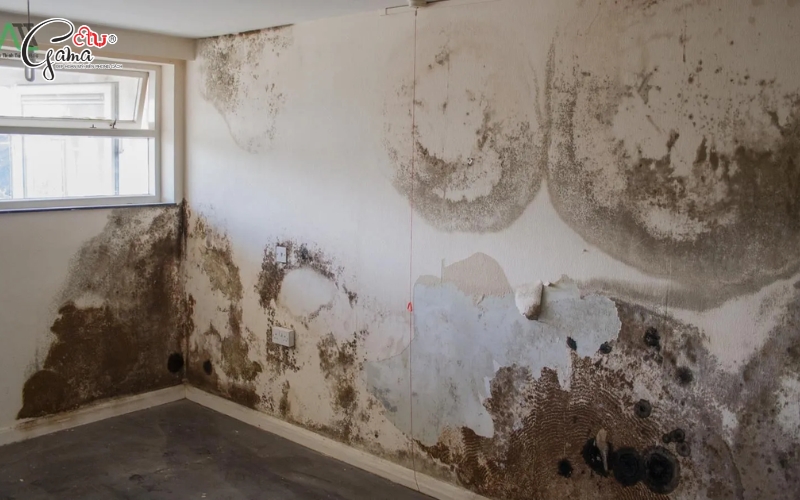 Hậu quả của việc chỉ sơn chống thấm 1 lớp