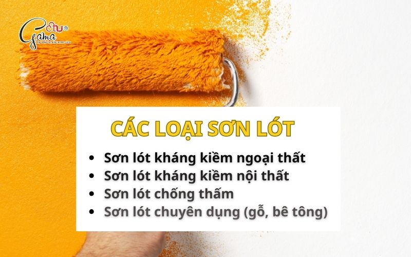 Cac Loai Son Lot