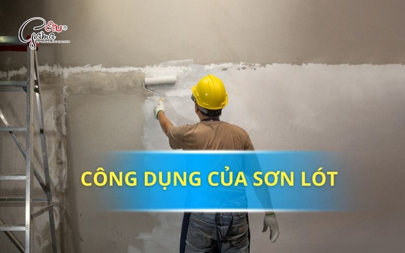 Cong Dung Cua Son Lot
