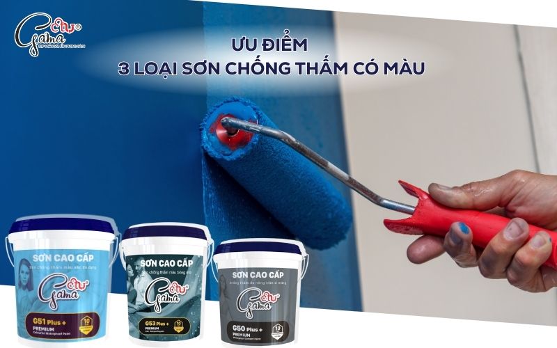 Uu Diem 3 Loai Son Chong Tham