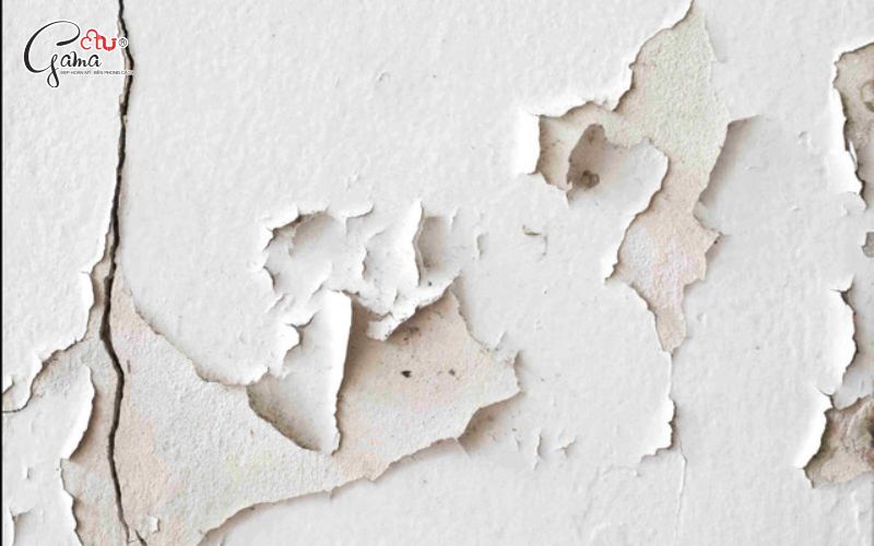 Chọn sơn chống thấm cho tường cũ bong tróc