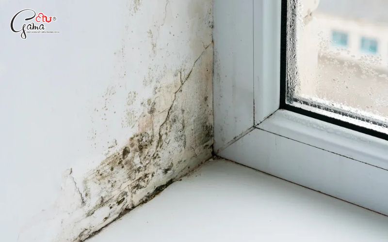 Chọn sơn chống thấm cho tường ẩm nhẹ quanh năm