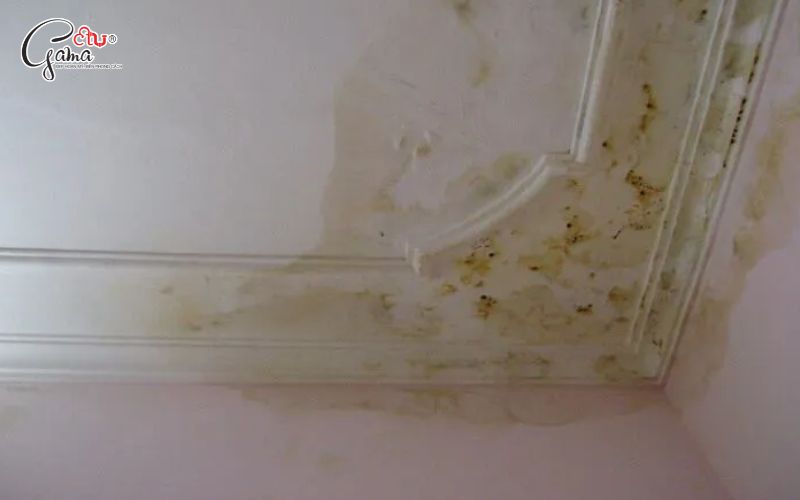 Tường thấm nặng nên chọn loại sơn nào