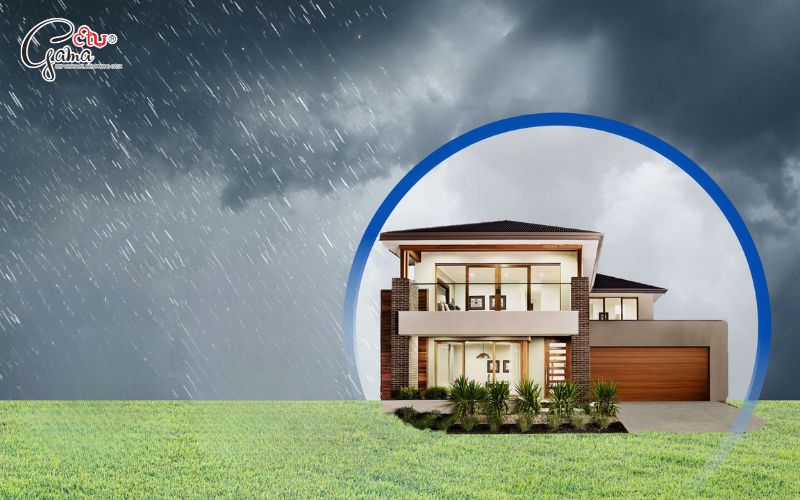 Tác động từ môi trường và thời tiết