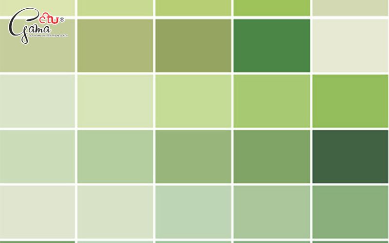 Phối màu sơn theo mệnh Mộc