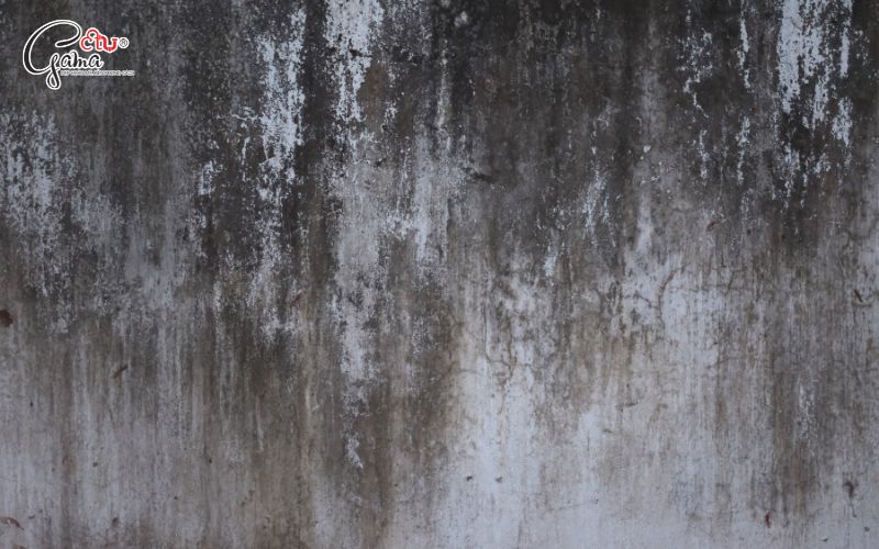 Khu vực thường xuyên tiếp xúc nắng mưa