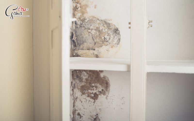 Khi nào nên sử dụng sơn chống thấm gốc nước