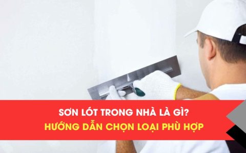 Son Lot Trong Nha La Gi
